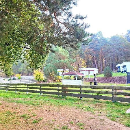 Tiny House Ueckeritz Βίλα Εξωτερικό φωτογραφία